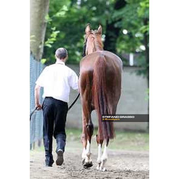 Milano - San Siro galopp racecourse,31st may 2015 ph.Stefano Grasso/Trenno srl