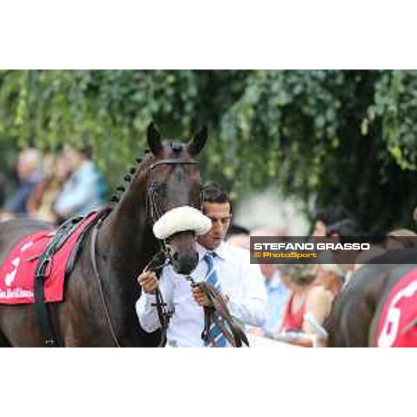 Kaspersky Milano - San Siro galopp racecourse,31st may 2015 ph.Stefano Grasso/Trenno srl