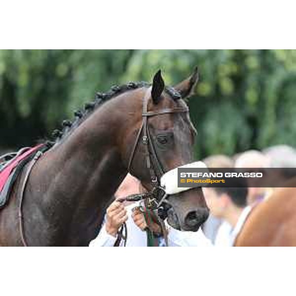 Kaspersky Milano - San Siro galopp racecourse,31st may 2015 ph.Stefano Grasso/Trenno srl