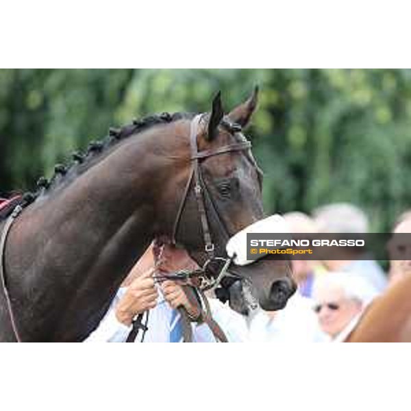 Kaspersky Milano - San Siro galopp racecourse,31st may 2015 ph.Stefano Grasso/Trenno srl