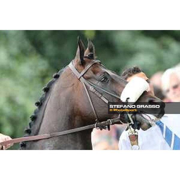Kaspersky Milano - San Siro galopp racecourse,31st may 2015 ph.Stefano Grasso/Trenno srl