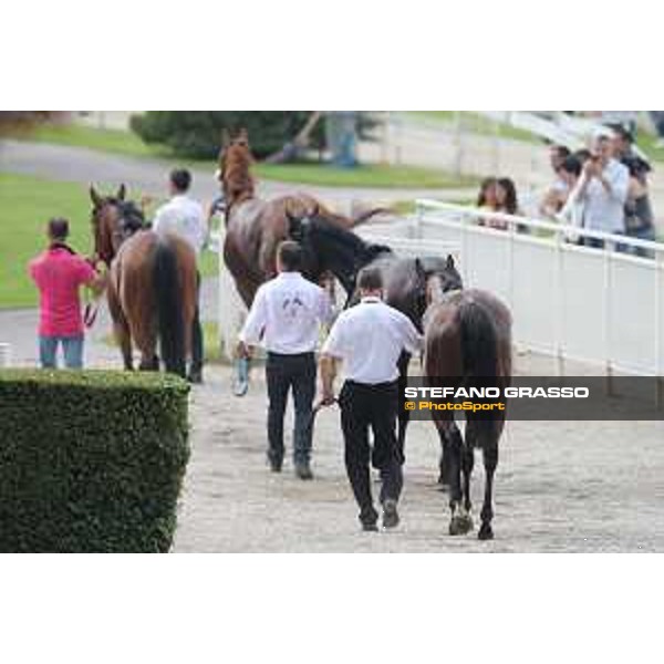 Kyllachy Queen - Premio Nogara Milano - San Siro galopp racecourse,31st may 2015 ph.Stefano Grasso/Trenno srl