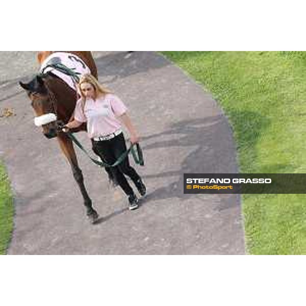 Favulusa - Oaks d\'Italia Milano - San Siro galopp racecourse,31st may 2015 ph.Stefano Grasso/Trenno srl