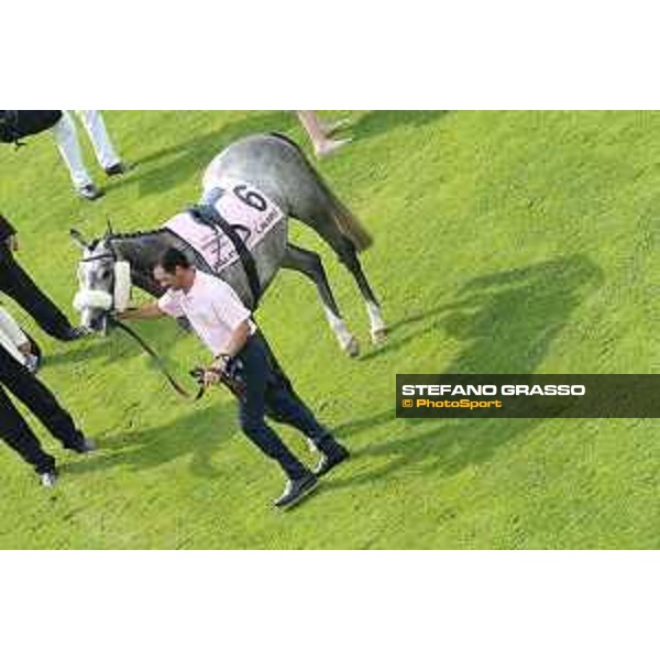 Linard - Oaks d\'Italia Milano - San Siro galopp racecourse,31st may 2015 ph.Stefano Grasso/Trenno srl
