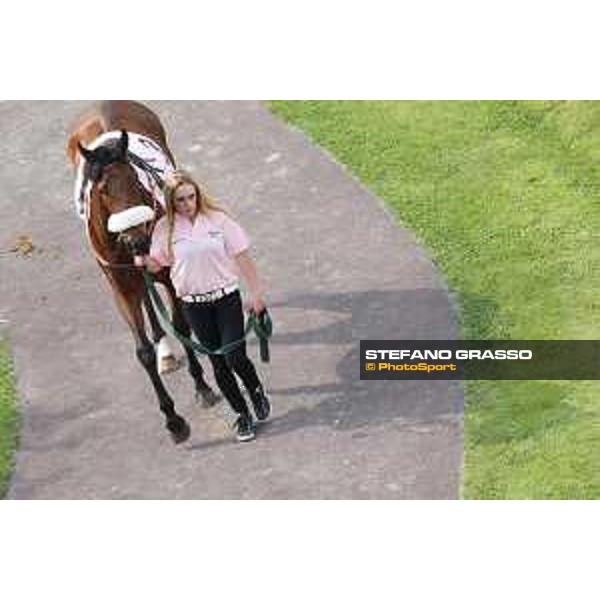 Favulusa - Oaks d\'Italia Milano - San Siro galopp racecourse,31st may 2015 ph.Stefano Grasso/Trenno srl