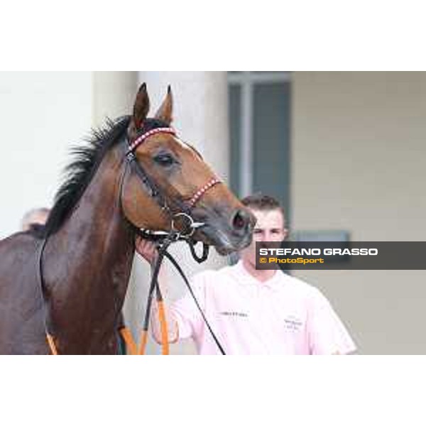 Lovelyn winner of the Oaks d\'Italia Milano - San Siro galopp racecourse,31st may 2015 ph.Stefano Grasso/Trenno srl
