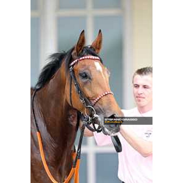 Lovelyn winner of the Oaks d\'Italia Milano - San Siro galopp racecourse,31st may 2015 ph.Stefano Grasso/Trenno srl