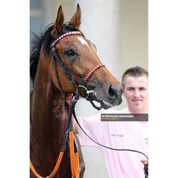 Lovelyn winner of the Oaks d\'Italia Milano - San Siro galopp racecourse,31st may 2015 ph.Stefano Grasso/Trenno srl