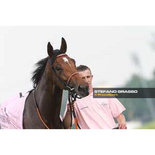 Lovelyn winner of the Oaks d\'Italia Milano - San Siro galopp racecourse,31st may 2015 ph.Stefano Grasso/Trenno srl