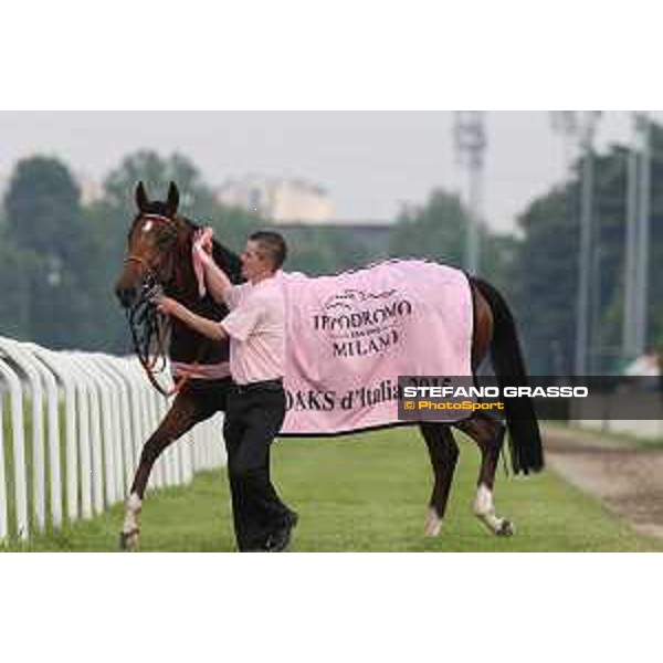 Lovelyn winner of the Oaks d\'Italia Milano - San Siro galopp racecourse,31st may 2015 ph.Stefano Grasso/Trenno srl