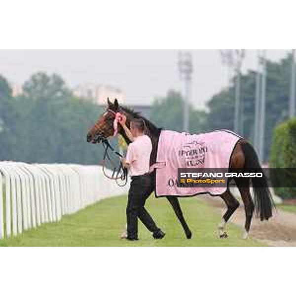 Lovelyn winner of the Oaks d\'Italia Milano - San Siro galopp racecourse,31st may 2015 ph.Stefano Grasso/Trenno srl