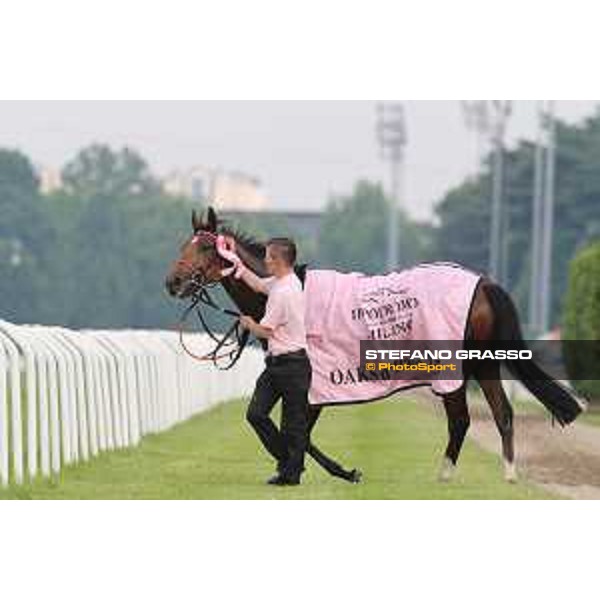 Lovelyn winner of the Oaks d\'Italia Milano - San Siro galopp racecourse,31st may 2015 ph.Stefano Grasso/Trenno srl