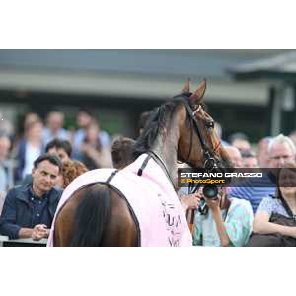 Lovelyn winner of the Oaks d\'Italia Milano - San Siro galopp racecourse,31st may 2015 ph.Stefano Grasso/Trenno srl