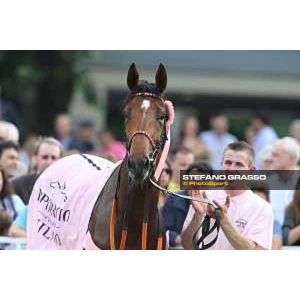 Lovelyn winner of the Oaks d\'Italia Milano - San Siro galopp racecourse,31st may 2015 ph.Stefano Grasso/Trenno srl