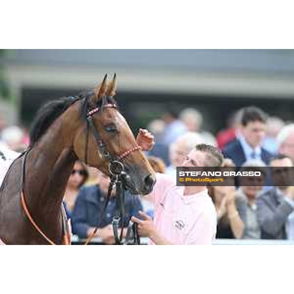 Lovelyn winner of the Oaks d\'Italia Milano - San Siro galopp racecourse,31st may 2015 ph.Stefano Grasso/Trenno srl