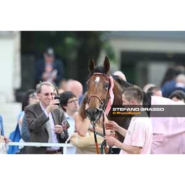 Lovelyn winner of the Oaks d\'Italia Milano - San Siro galopp racecourse,31st may 2015 ph.Stefano Grasso/Trenno srl