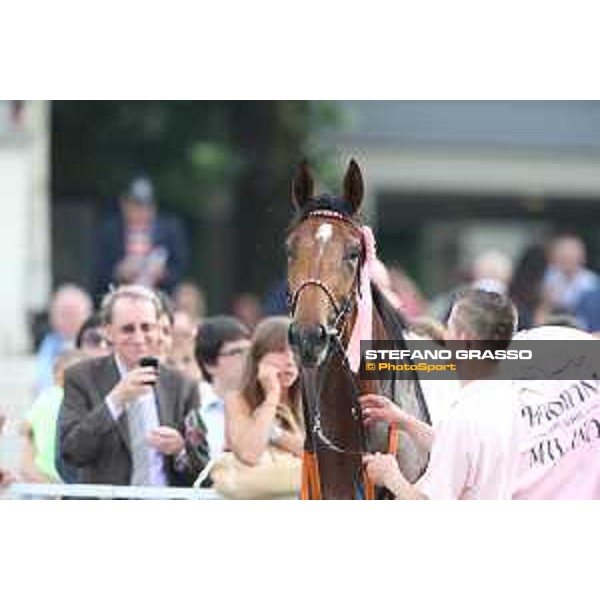 Lovelyn winner of the Oaks d\'Italia Milano - San Siro galopp racecourse,31st may 2015 ph.Stefano Grasso/Trenno srl