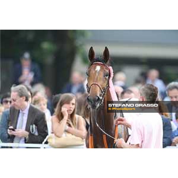 Lovelyn winner of the Oaks d\'Italia Milano - San Siro galopp racecourse,31st may 2015 ph.Stefano Grasso/Trenno srl