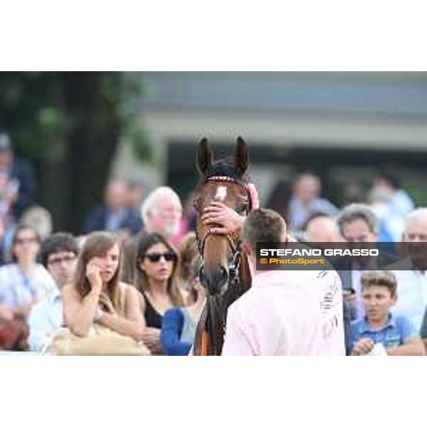 Lovelyn winner of the Oaks d\'Italia Milano - San Siro galopp racecourse,31st may 2015 ph.Stefano Grasso/Trenno srl