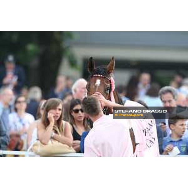 Lovelyn winner of the Oaks d\'Italia Milano - San Siro galopp racecourse,31st may 2015 ph.Stefano Grasso/Trenno srl
