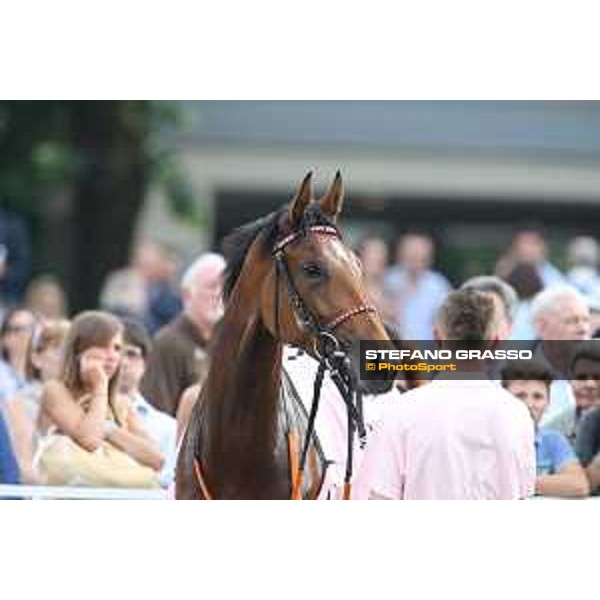 Lovelyn winner of the Oaks d\'Italia Milano - San Siro galopp racecourse,31st may 2015 ph.Stefano Grasso/Trenno srl