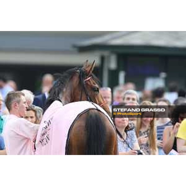 Lovelyn winner of the Oaks d\'Italia Milano - San Siro galopp racecourse,31st may 2015 ph.Stefano Grasso/Trenno srl