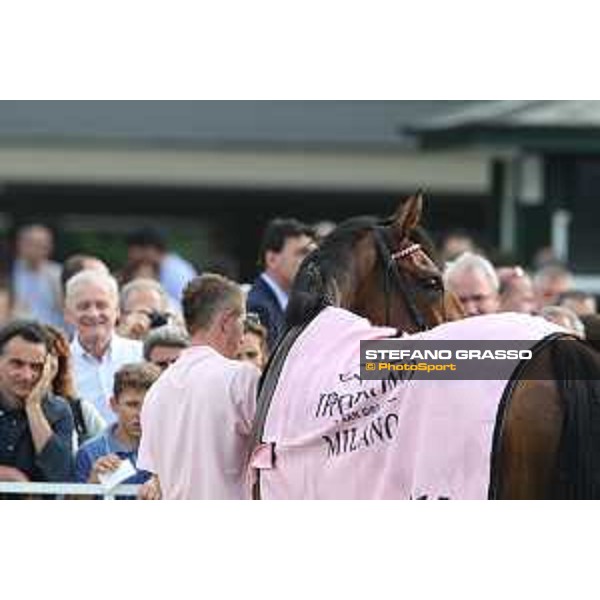 Lovelyn winner of the Oaks d\'Italia Milano - San Siro galopp racecourse,31st may 2015 ph.Stefano Grasso/Trenno srl