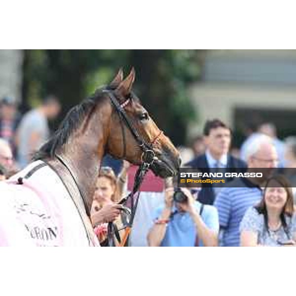 Lovelyn winner of the Oaks d\'Italia Milano - San Siro galopp racecourse,31st may 2015 ph.Stefano Grasso/Trenno srl