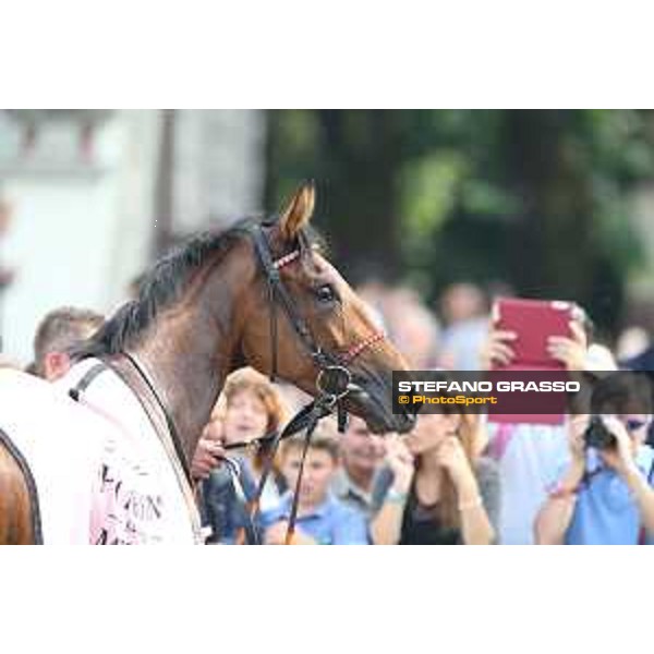 Lovelyn winner of the Oaks d\'Italia Milano - San Siro galopp racecourse,31st may 2015 ph.Stefano Grasso/Trenno srl