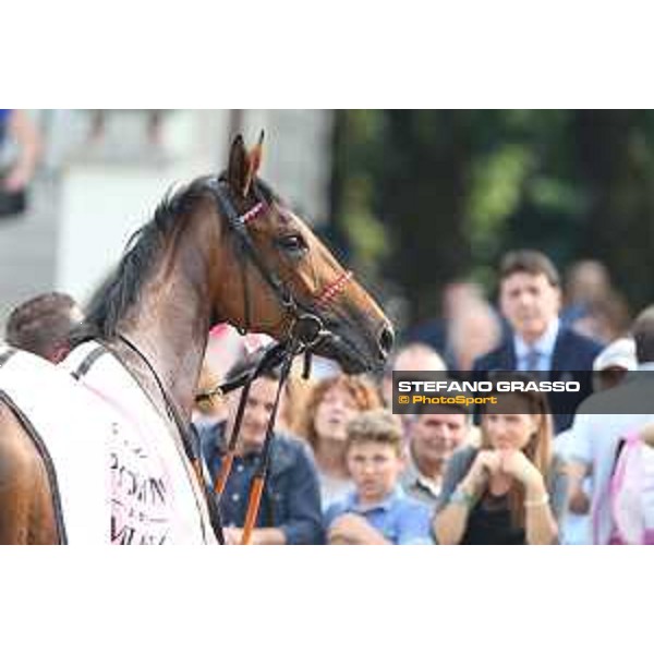 Lovelyn winner of the Oaks d\'Italia Milano - San Siro galopp racecourse,31st may 2015 ph.Stefano Grasso/Trenno srl