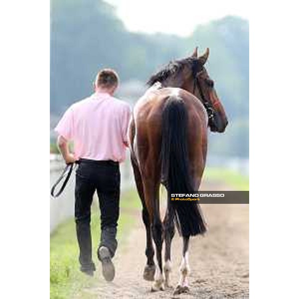 Lovelyn winner of the Oaks d\'Italia Milano - San Siro galopp racecourse,31st may 2015 ph.Stefano Grasso/Trenno srl