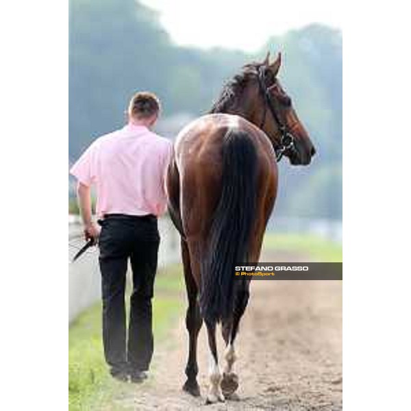 Lovelyn winner of the Oaks d\'Italia Milano - San Siro galopp racecourse,31st may 2015 ph.Stefano Grasso/Trenno srl