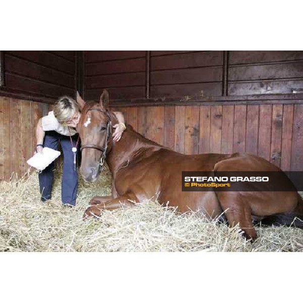 Franca Vittadini with Arcimboldo Settimo Milanese - selected yearling sales Milan, 23rd september 2005 ph. Stefano Grasso