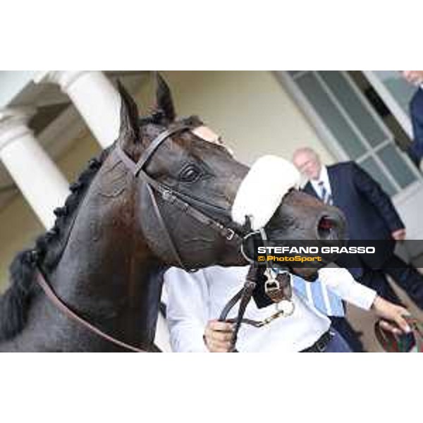 Kasperky winner of Premio Carlo Vittadini Milano - San Siro galopp racecourse,31st may 2015 ph.Stefano Grasso/Trenno srl