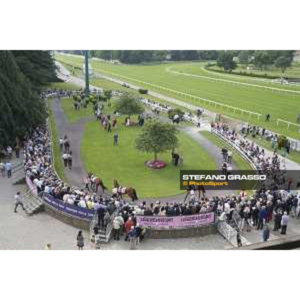 The paddock of the Oaks d\'Italia Milano - San Siro galopp racecourse,31st may 2015 ph.Stefano Grasso/Trenno srl