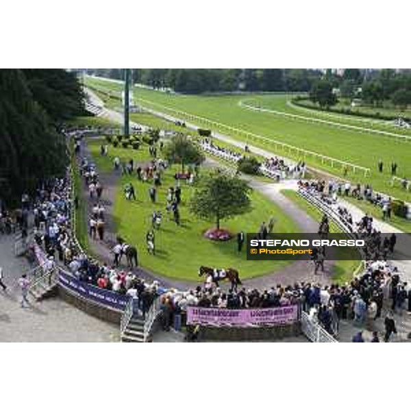 The paddock of the Oaks d\'Italia Milano - San Siro galopp racecourse,31st may 2015 ph.Stefano Grasso/Trenno srl