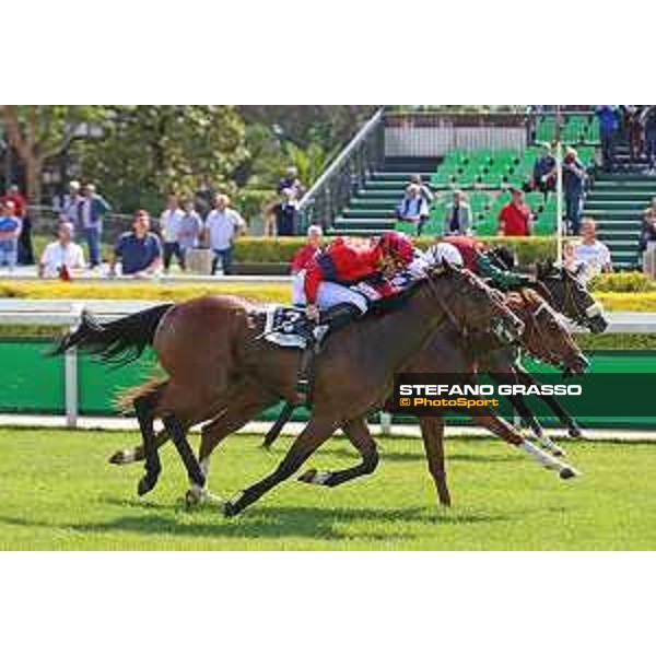 Carlo Fiocchi on Ottone wins the Premio Alberto Giubilo Roma - Capannelle racecourse,2nd june 2015 ph.Domenico Savi