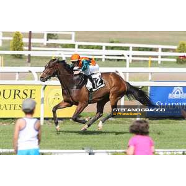 A.Fiori on Blindman wins the Premio Capannelle Trotto Roma - Capannelle racecourse,2nd june 2015 ph.Stefano Grasso