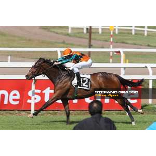 A.Fiori on Blindman wins the Premio Capannelle Trotto Roma - Capannelle racecourse,2nd june 2015 ph.Stefano Grasso