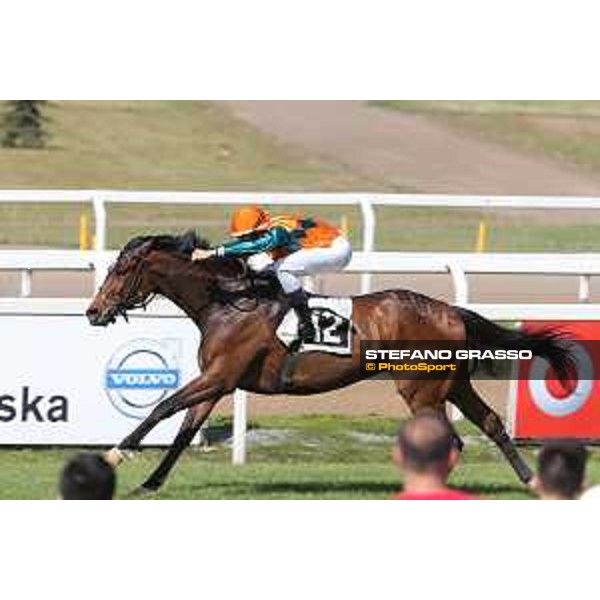 A.Fiori on Blindman wins the Premio Capannelle Trotto Roma - Capannelle racecourse,2nd june 2015 ph.Stefano Grasso