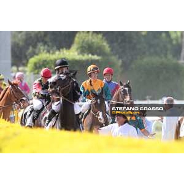 A.Fiori on Blindman wins the Premio Capannelle Trotto Roma - Capannelle racecourse,2nd june 2015 ph.Stefano Grasso