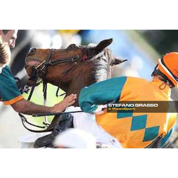 A.Fiori on Blindman wins the Premio Capannelle Trotto Roma - Capannelle racecourse,2nd june 2015 ph.Stefano Grasso