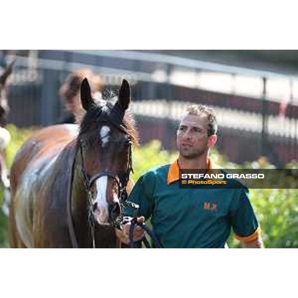 Blindman winner of the Premio Capannelle Trotto Roma - Capannelle racecourse,2nd june 2015 ph.Stefano Grasso