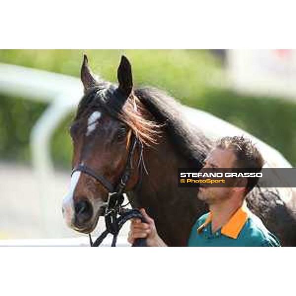 Blindman winner of the Premio Capannelle Trotto Roma - Capannelle racecourse,2nd june 2015 ph.Stefano Grasso