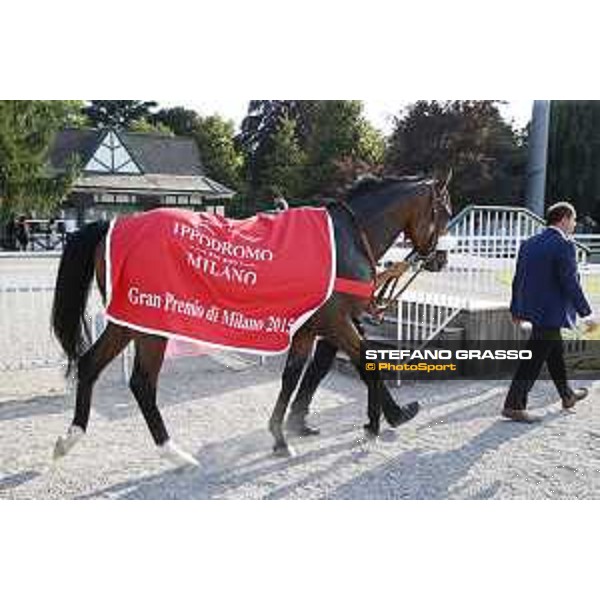 Dylan Mouth Gran Premio di Milano Milano - San Siro racecourse,7th june 2015 ph.Stefano Grasso