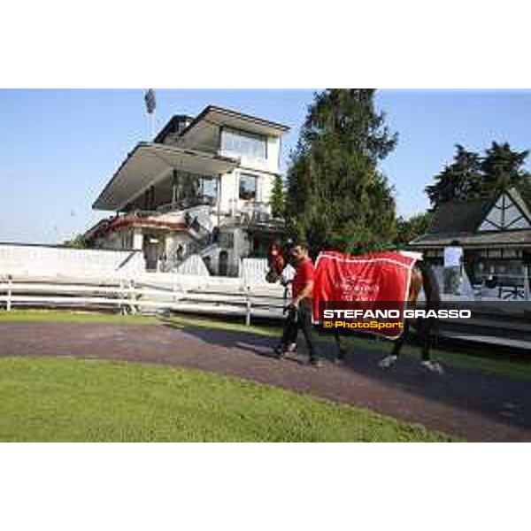 Dylan Mouth Gran Premio di Milano Milano - San Siro racecourse,7th june 2015 ph.Stefano Grasso
