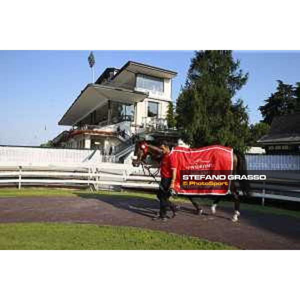 Dylan Mouth Gran Premio di Milano Milano - San Siro racecourse,7th june 2015 ph.Stefano Grasso