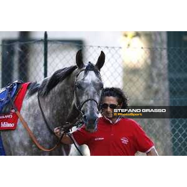 Billabong Gran Premio di Milano Milano - San Siro racecourse,7th june 2015 ph.Stefano Grasso