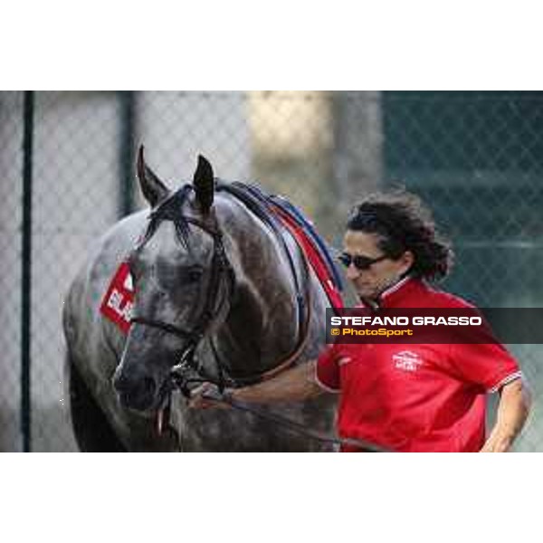 Billabong Gran Premio di Milano Milano - San Siro racecourse,7th june 2015 ph.Stefano Grasso