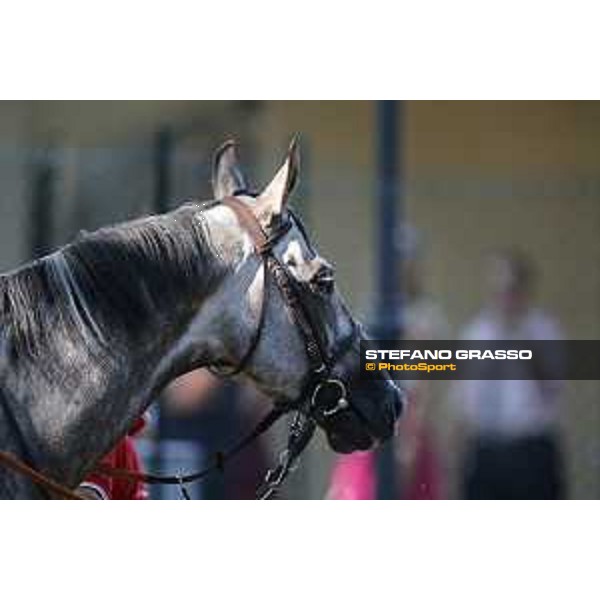 Billabong Gran Premio di Milano Milano - San Siro racecourse,7th june 2015 ph.Stefano Grasso